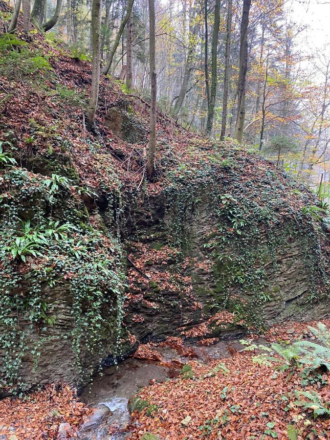 Gaestehaus Schmid Sankt Johann im Saggautal Bagian luar foto