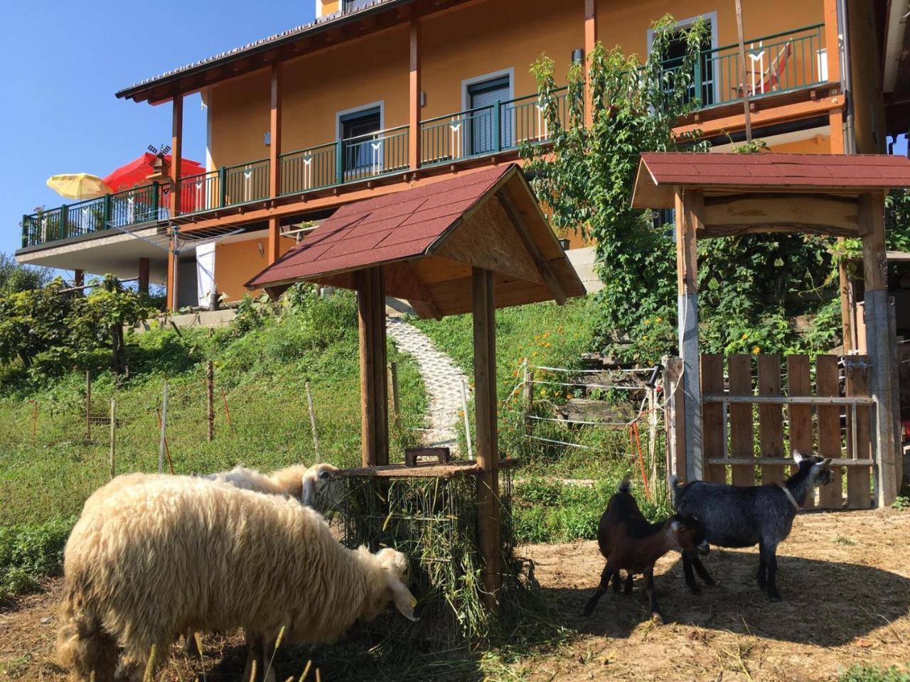Gaestehaus Schmid Sankt Johann im Saggautal Bagian luar foto